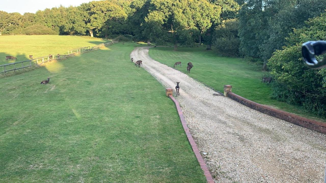 Langton MatraversYards Brake On 40 Acres Of Private Land别墅 外观 照片