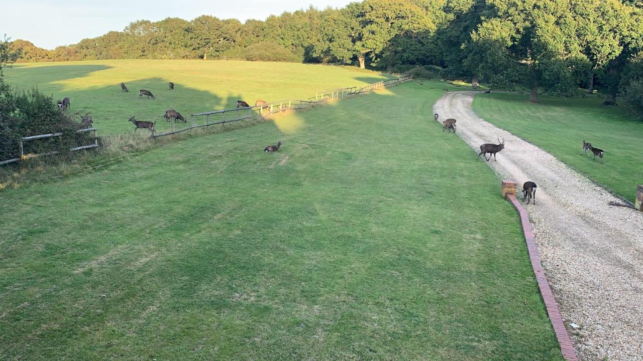 Langton MatraversYards Brake On 40 Acres Of Private Land别墅 外观 照片