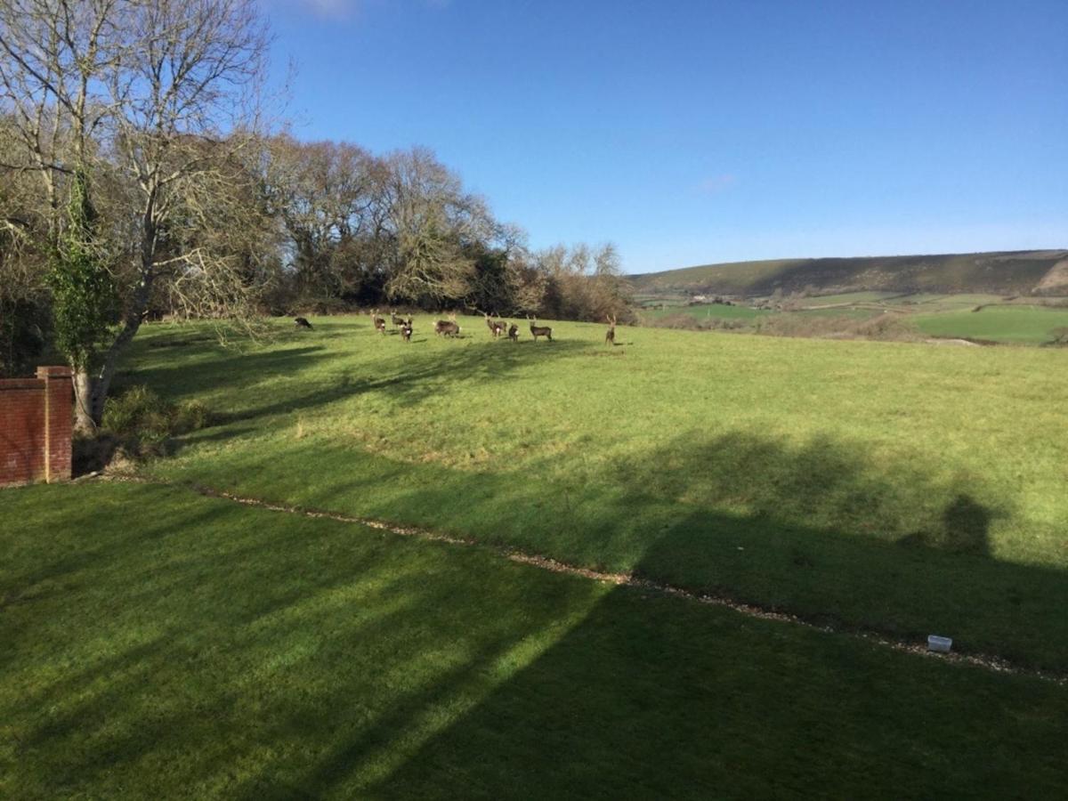 Langton MatraversYards Brake On 40 Acres Of Private Land别墅 外观 照片