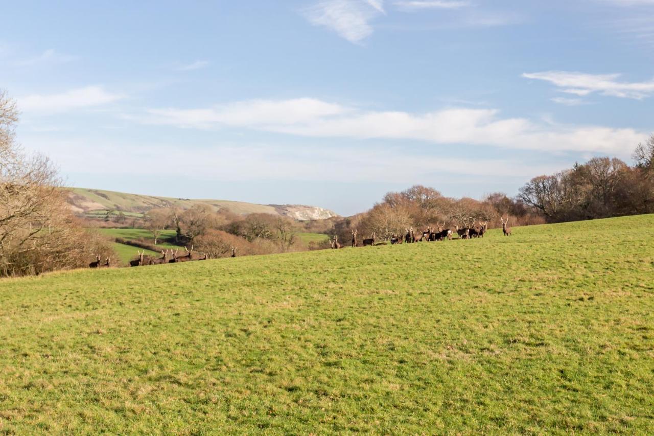 Langton MatraversYards Brake On 40 Acres Of Private Land别墅 外观 照片